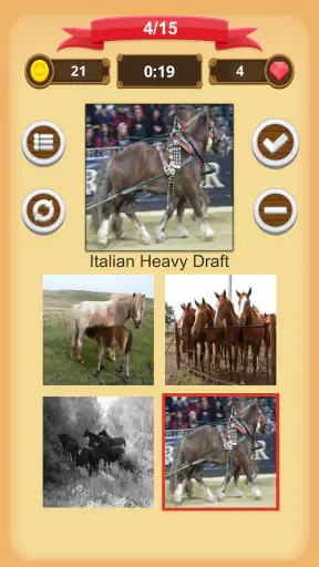 Chevaux - Quiz screenshot