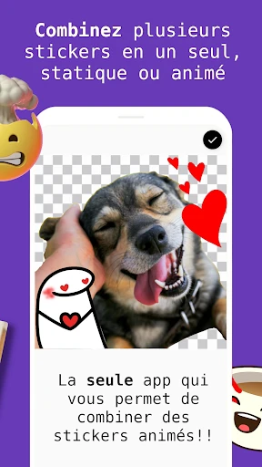 Créer des stickers animés, FSM screenshot