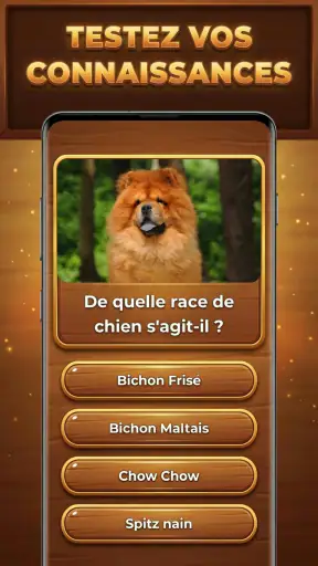 Défi Trivia : Trivia Blocks screenshot