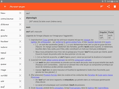 Dictionnaire Français screenshot