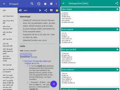 Dictionnaire Français screenshot