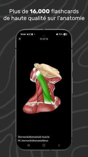Easy Anatomy 3D screenshot