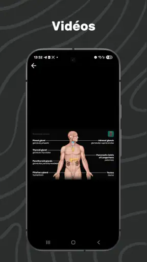 Easy Anatomy 3D screenshot