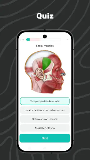 Easy Anatomy 3D screenshot