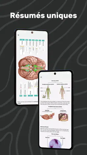 Easy Anatomy 3D screenshot