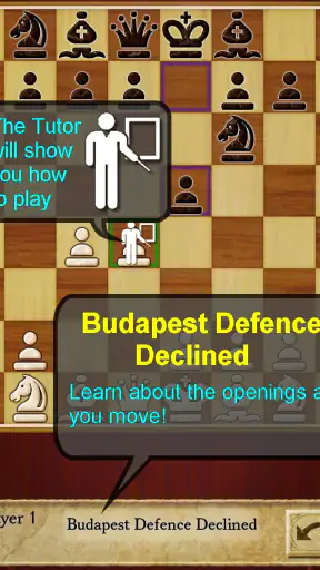 Échecs Pro (Chess) screenshot