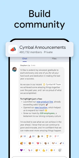 Google Chat screenshot