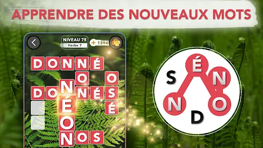 Jeu de Mots Croisés: Français screenshot