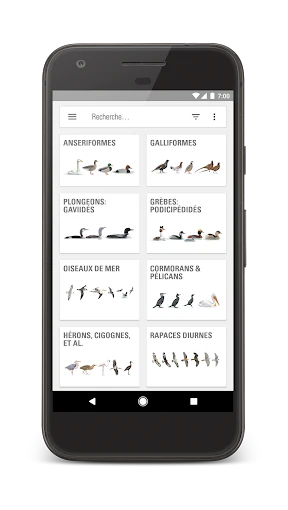 Le Guide Ornitho screenshot
