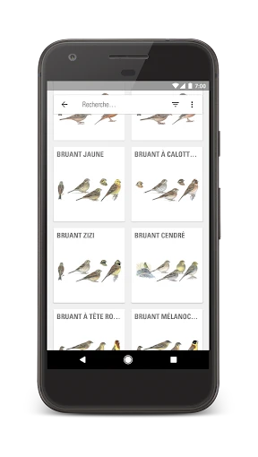 Le Guide Ornitho screenshot