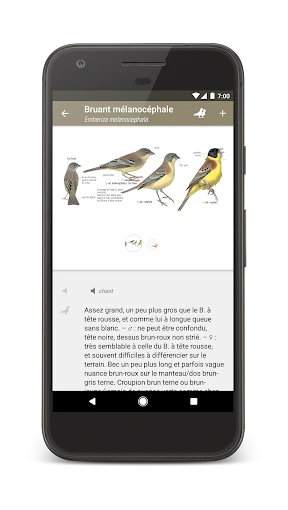 Le Guide Ornitho screenshot