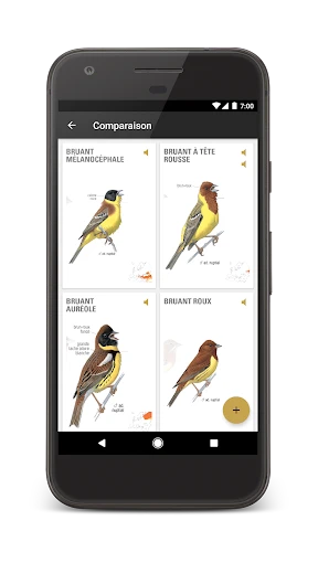 Le Guide Ornitho screenshot