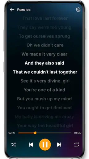 Lecteur de musique screenshot