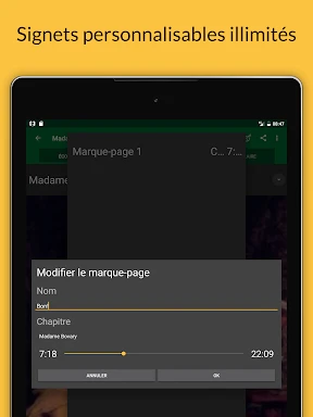 Livres Audio screenshot