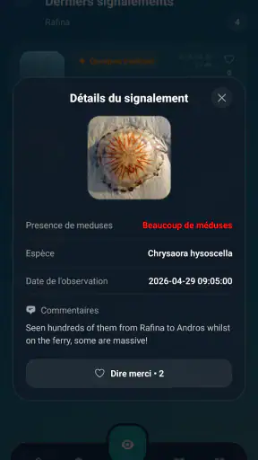 Meduseo screenshot