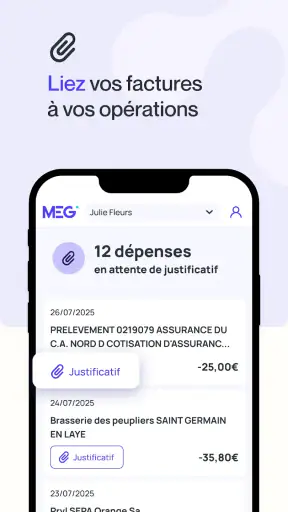 MEG - Mon Expert en Gestion screenshot