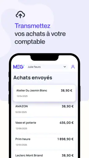 MEG - Mon Expert en Gestion screenshot