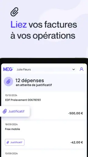 MEG - Mon Expert en Gestion screenshot