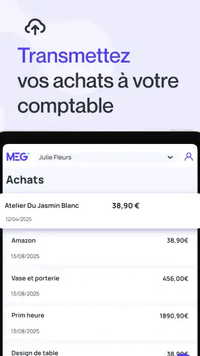MEG - Mon Expert en Gestion screenshot