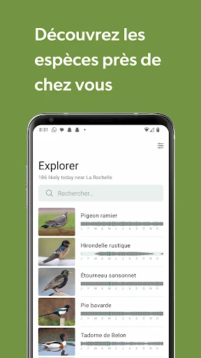 Merlin Bird ID par Cornell Lab screenshot