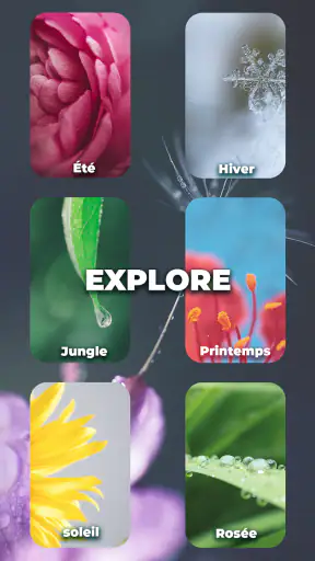Mots Croisés: Jeu de Lettres screenshot