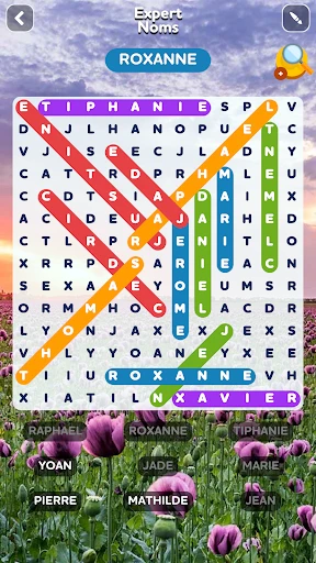 Mots Mêlés - Jeu de Mots screenshot