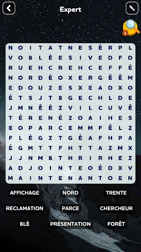 Mots Mêlés - Jeu de Mots screenshot