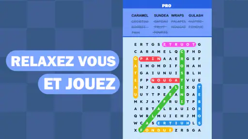 Mots Mêlés Puzzle Challenge screenshot