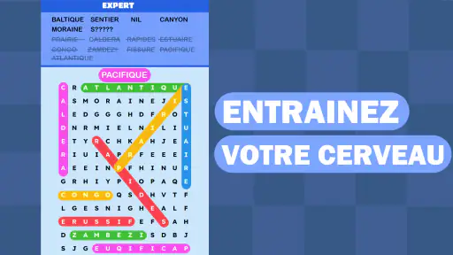 Mots Mêlés Puzzle Challenge screenshot