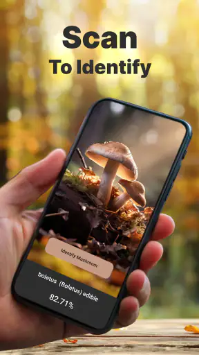 Mushromizer screenshot