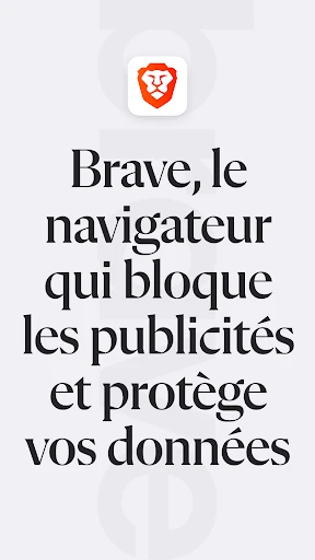 Navigateur Web Privé VPN Brave screenshot