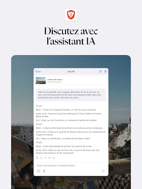 Navigateur Web Privé VPN Brave screenshot