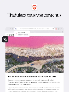 Navigateur Web Privé VPN Brave screenshot
