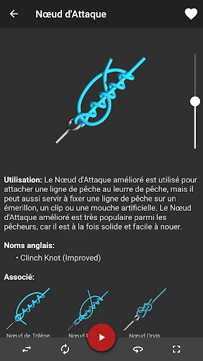 Nœuds 3D  ( Knots 3D ) screenshot