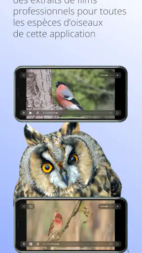 Ois'App - Oiseaux de France screenshot