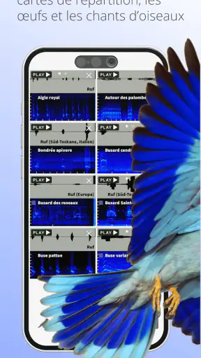 Ois'App - Oiseaux de France screenshot