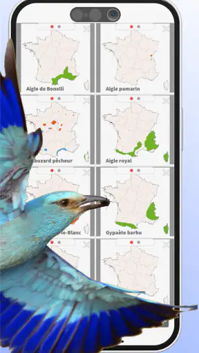 Ois'App - Oiseaux de France screenshot