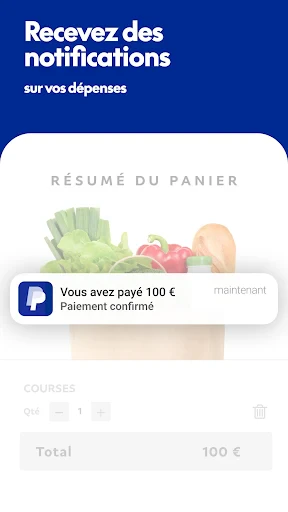 PayPal screenshot