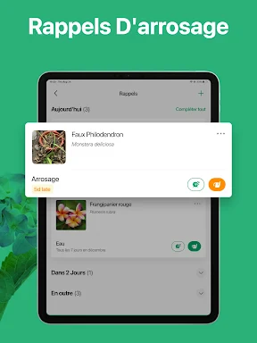 PictureThis Plante Identifier screenshot