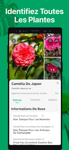 PictureThis Plante Identifier screenshot