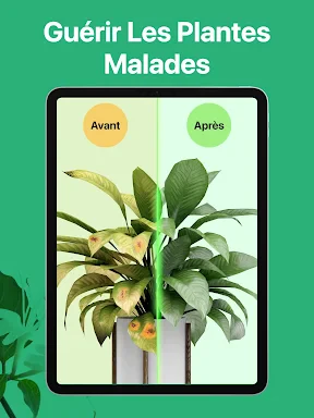 PictureThis Plante Identifier screenshot