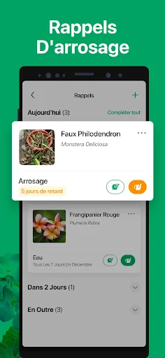 PictureThis Plante Identifier screenshot