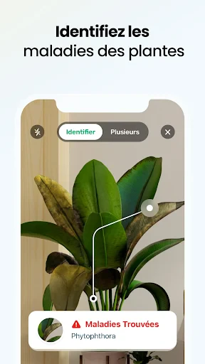 Plant App - Identifiant Plante screenshot