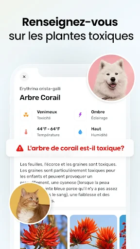 Plant App - Identifiant Plante screenshot