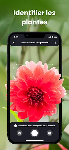 PlantIn plantes reconnaissance screenshot