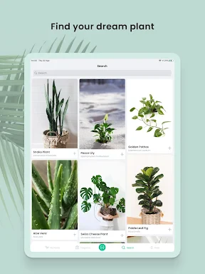 PlantIn plantes reconnaissance screenshot