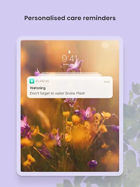 PlantIn plantes reconnaissance screenshot