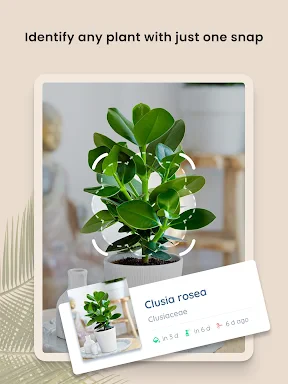 PlantIn plantes reconnaissance screenshot