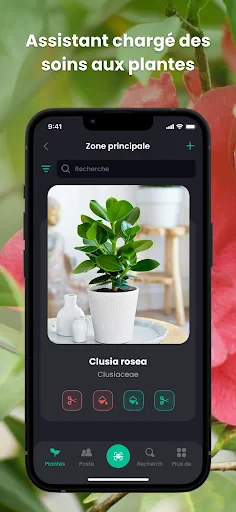 PlantIn plantes reconnaissance screenshot