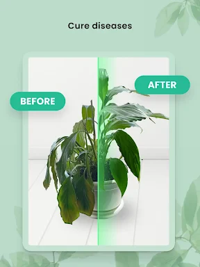 PlantIn plantes reconnaissance screenshot